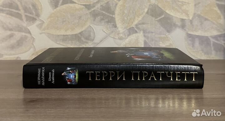 Терри Пратчетт. Незримые академики