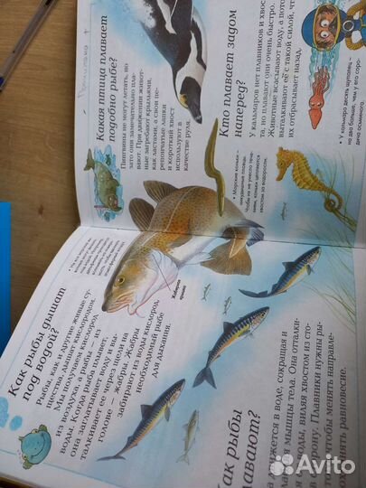 Книги для школьного чтения