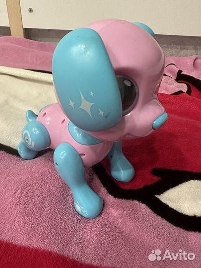 Интерактивная собака