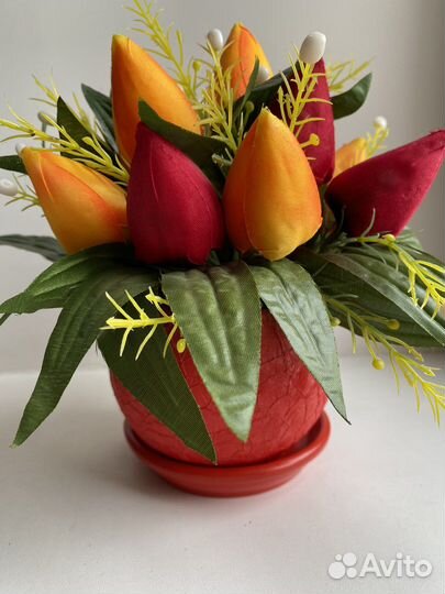 Тюльпаны в кашпо