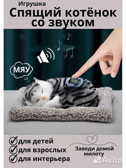 Котенок на коврике мяукающий спит