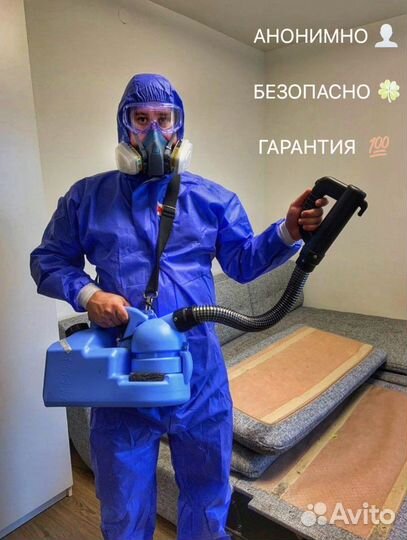 Уничтожение тараканов, клопов, блох. Дезинфекция