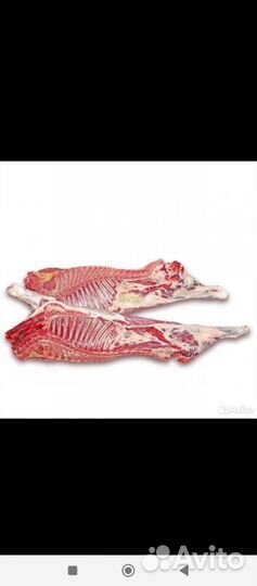 Субпродукты для собак