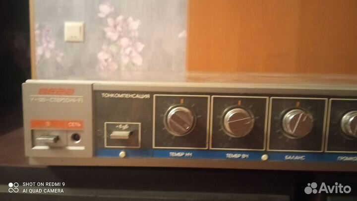 Акустика и усилитель Вега