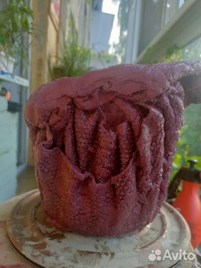 Кашпо для цветов из цемента