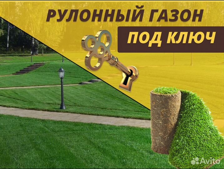Рулонный газон под ключ Стандартный