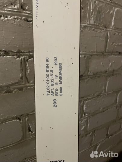 Горные лыжи fischer rc4