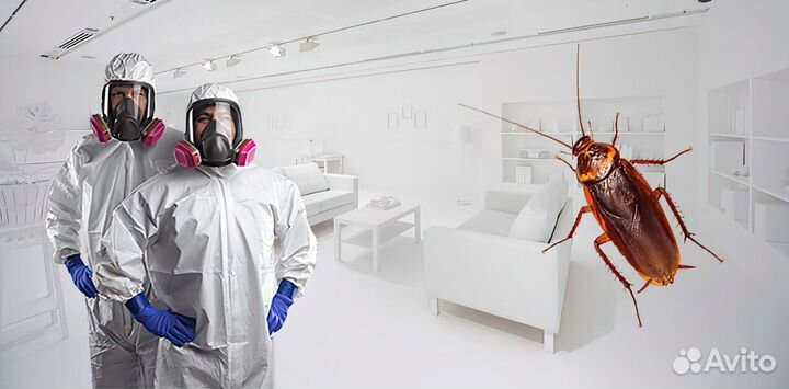 Травля тараканов и клопов
