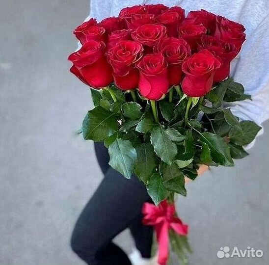 Высокие розы Гигантские Розы 150 160 170 180 190см