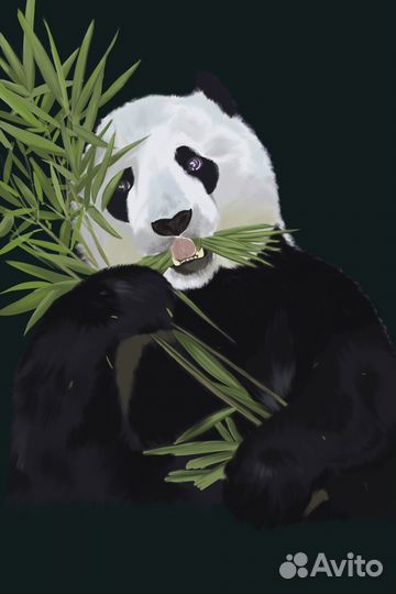 Художник иллюстратор