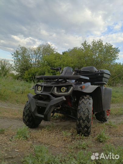 Avantis Hunter 200 big