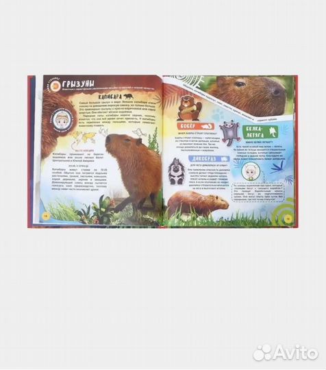 Живая энциклопедия