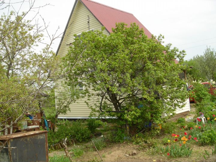 Дача 36 м² на участке 6 сот.