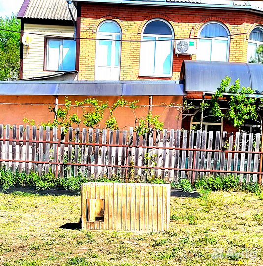 Собачья будка для крупной собаки