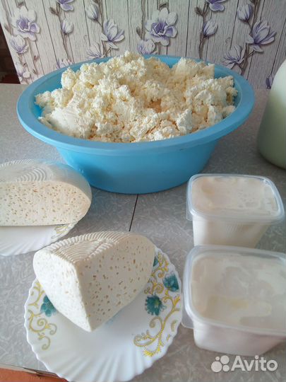 Молоко коровье домашнее и молочные продукты