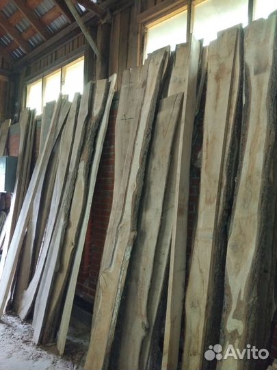 Доска дубовая леший