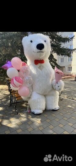 Белый мишка поздравление