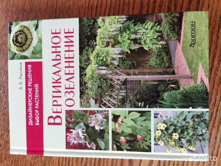 Лысиков. Вертикальное озеленение