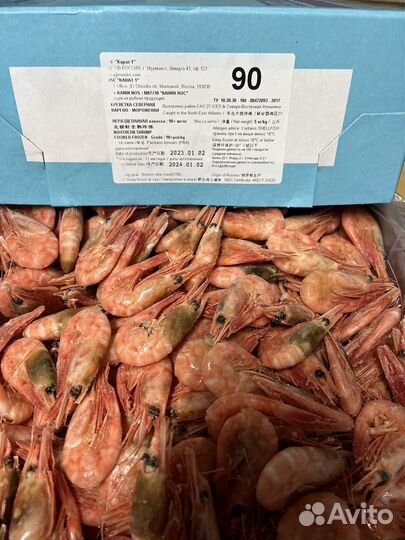 Креветка Северная 90+