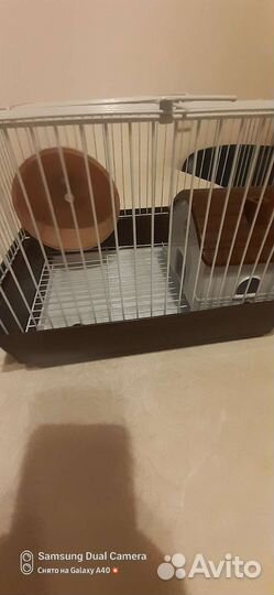 Клетка для джунгарского хомяка