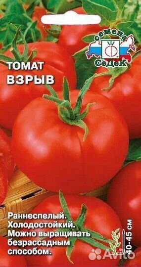 Помидоры 