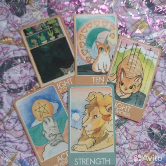 Tarot cats