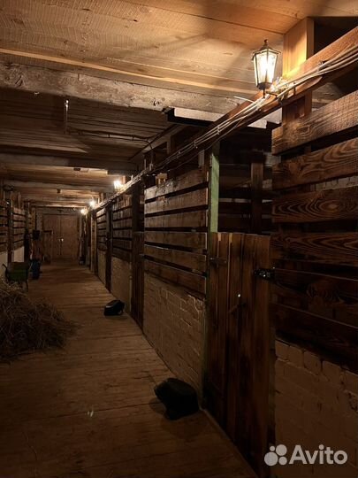 Постой для лошадей/Аренда конюшни