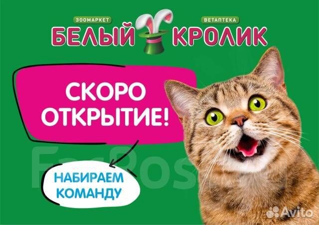 Администратор магазина