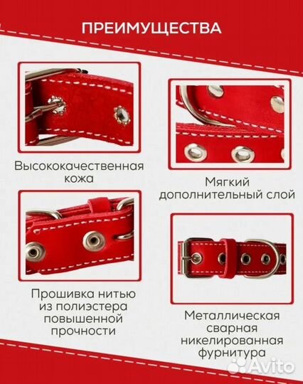 Ошейник для собак