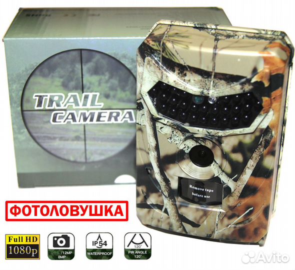 Фотоловушка Филин