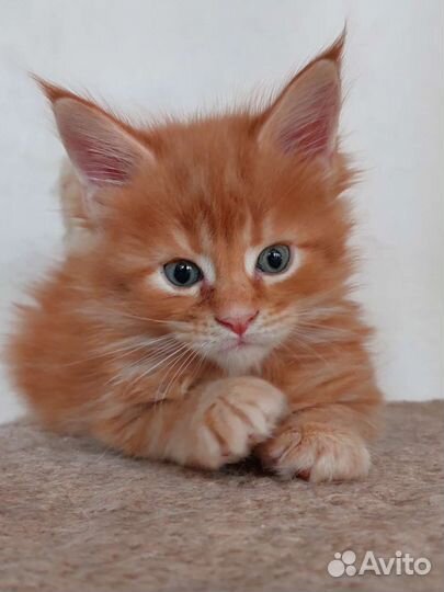 Нереальная красота