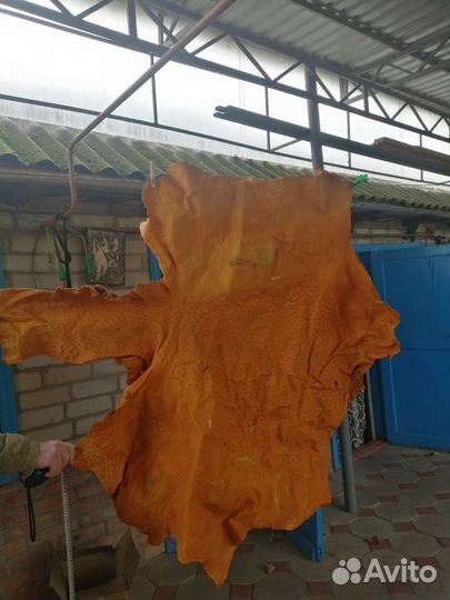 Натуральная кожа страуса