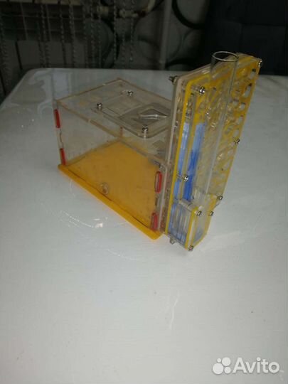 Муравьиная ферма