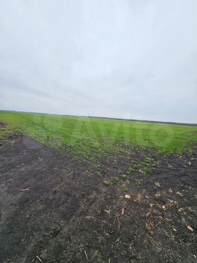 Участок 67 га (СНТ, ДНП)