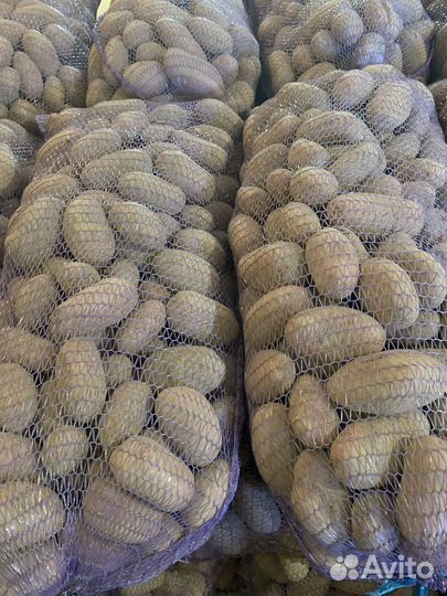 Картофель на дом