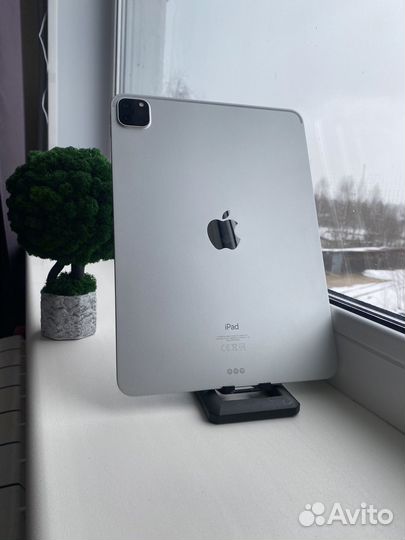 iPad pro 11 2021 256
