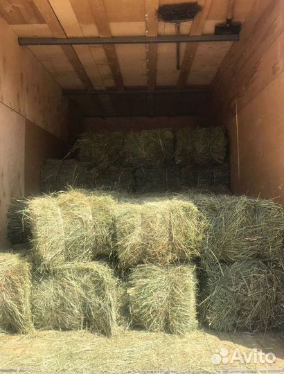 Сено и Опилки в тюках