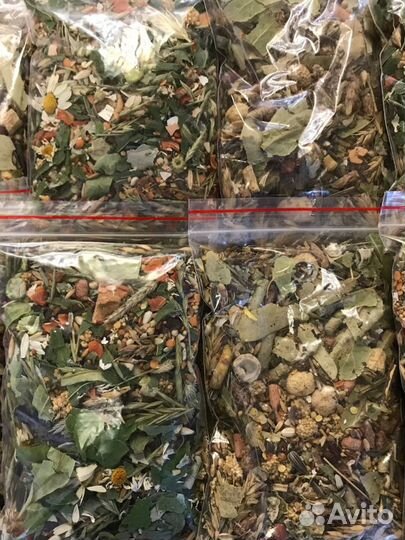 Копошилка для попугаев