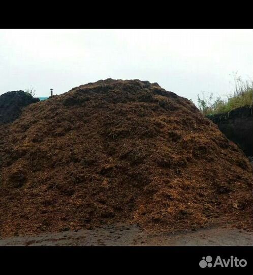 Конский навоз