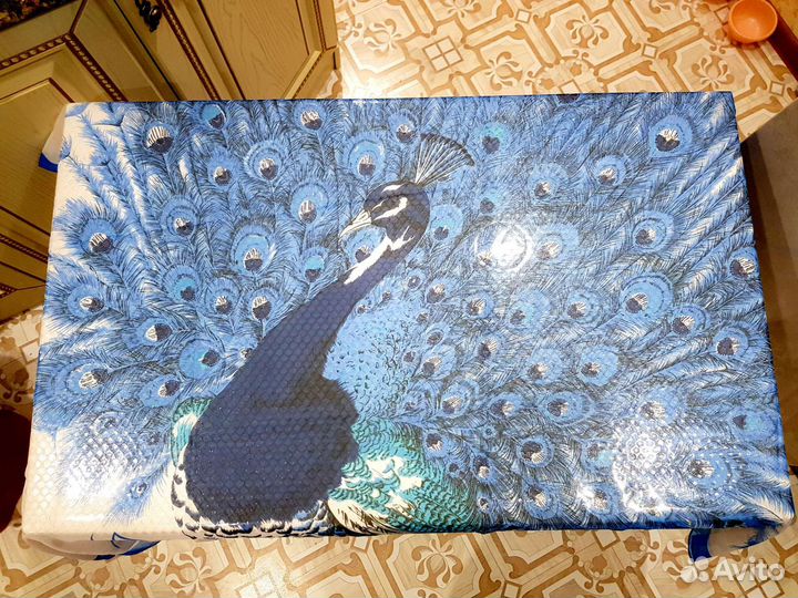 Парео жар птица