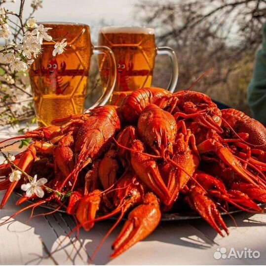 Живые и Вареные Раки