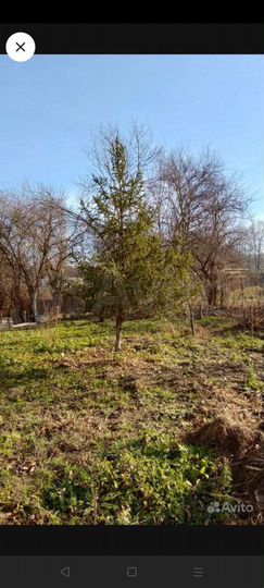 Дом 95 м² на участке 10 сот.