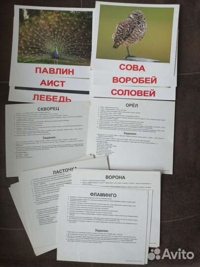Развивающие карточки для детей