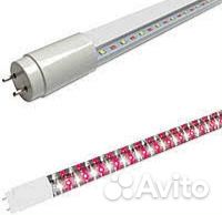 Лампа/фитолампа Jazzway pled T8-600 Food Meat G13