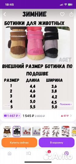 Ботинки для маленьких собак