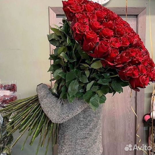 Розы Высокие 150см 160см 170см 180см 190см 2м