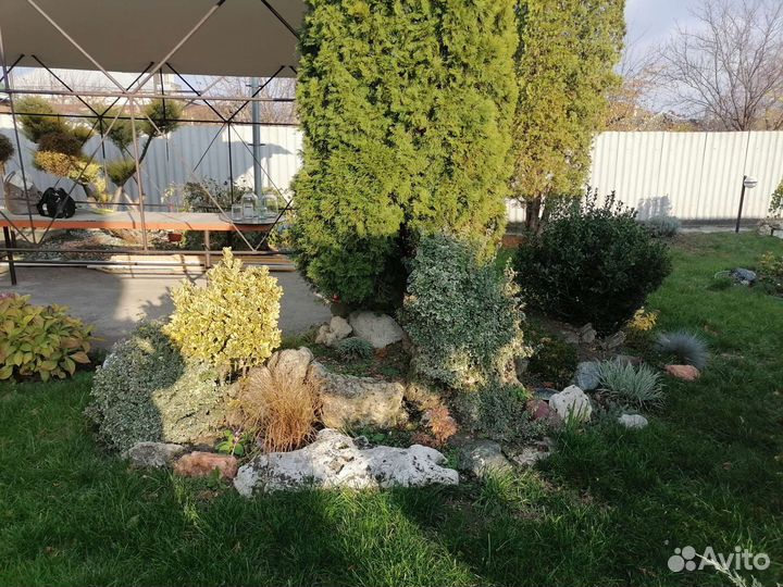 Ландшафтный дизайн и озеленение. кмв