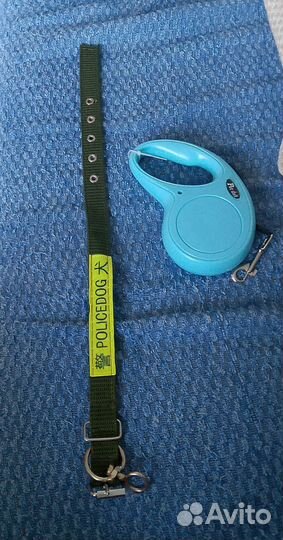 Ошейник и поводок