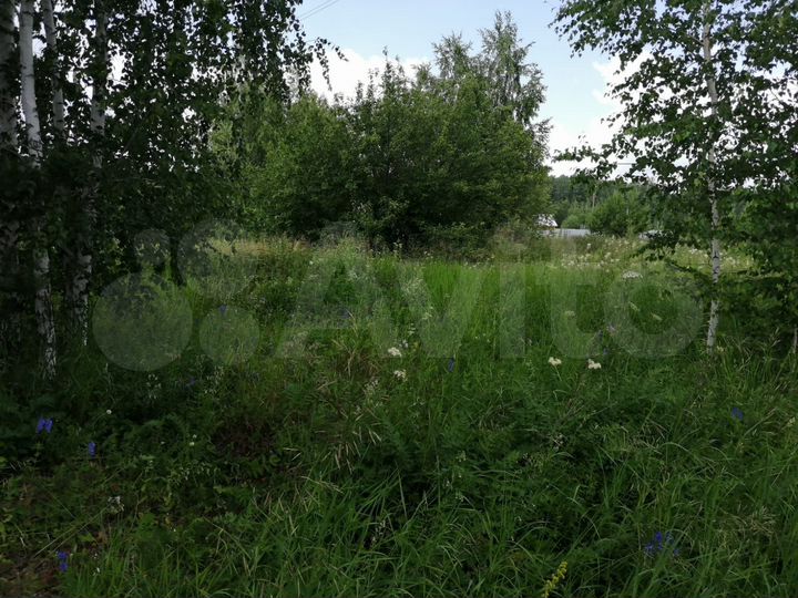 Участок 14,5 сот. (ИЖС)