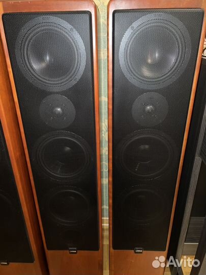 Акустические колонки Canton Ergo 902 DC